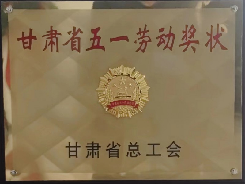 南寧吳圩機(jī)場(chǎng)改擴(kuò)建工程飛行區(qū)場(chǎng)道工程（四標(biāo)段）項(xiàng)目順利竣工